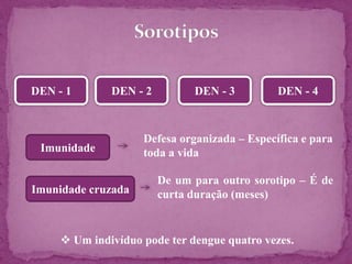 DEN - 1 DEN - 2 DEN - 3 DEN - 4
Imunidade
Imunidade cruzada
Defesa organizada – Específica e para
toda a vida
De um para outro sorotipo – É de
curta duração (meses)
 Um indivíduo pode ter dengue quatro vezes.
 