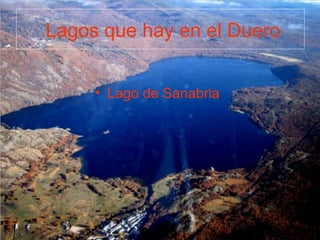 Lagos que hay en el Duero
• Lago de Sanabria
 