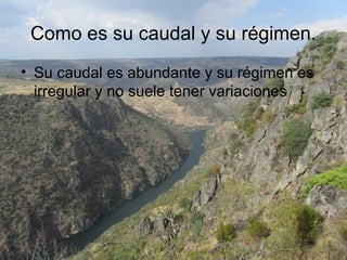 Como es su caudal y su régimen.
• Su caudal es abundante y su régimen es
irregular y no suele tener variaciones
 