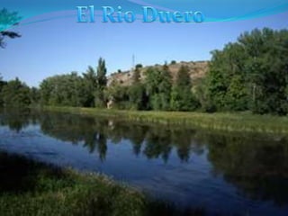 El Rio Duero 