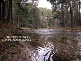 And I think to myself, E pensei comigo mesmo… 