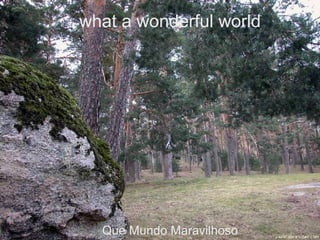 Que Mundo Maravilhoso what a wonderful world 