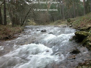I see trees of green  Vi árvores verdes 
