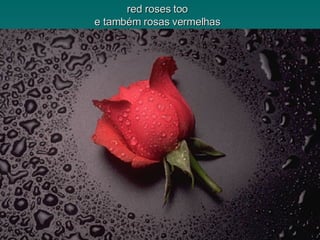red roses too e também rosas vermelhas 