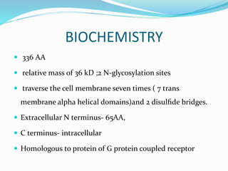 BIOCHEMISTRY
 336 AA
 relative mass of 36 kD ;2 N-glycosylation sites
 traverse the cell membrane seven times ( 7 trans
membrane alpha helical domains)and 2 disulﬁde bridges.
 Extracellular N terminus- 65AA,
 C terminus- intracellular
 Homologous to protein of G protein coupled receptor
 