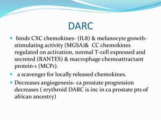 DARC
 binds CXC chemokines- (IL8) & melanocyte growth-
stimulating activity (MGSA)& CC chemokines
regulated on activation, normal T-cell expressed and
secreted (RANTES) & macrophage chemoattractant
protein-1 (MCP1).
 a scavenger for locally released chemokines.
 Decreases angiogenesis- ca prostate progression
decreases ( erythroid DARC is inc in ca prostate pts of
african ancestry)
 