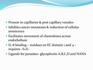  Present in capillaries & post capillary venules-
 Inhibits cancer metastasis & induction of cellular
senescence
 Facilitates movement of chemokines across
endothelium
 IL-8 binding – residues on EC domain 1 and 4 –
requires –S=S-
 Ligands for parasites- glycophorin A,B,C,D and NANA
 