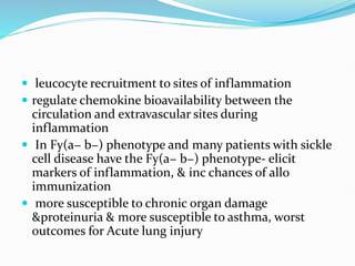  leucocyte recruitment to sites of inflammation
 regulate chemokine bioavailability between the
circulation and extravascular sites during
inflammation
 In Fy(a− b−) phenotype and many patients with sickle
cell disease have the Fy(a− b−) phenotype- elicit
markers of inflammation, & inc chances of allo
immunization
 more susceptible to chronic organ damage
&proteinuria & more susceptible to asthma, worst
outcomes for Acute lung injury
 