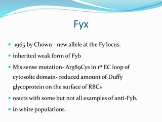 Fyx
 1965 by Chown - new allele at the Fy locus.
 inherited weak form of Fyb
 Mis sense mutation- Arg89Cys in 1st EC loop of
cytosolic domain- reduced amount of Duffy
glycoprotein on the surface of RBCs
 reacts with some but not all examples of anti-Fyb.
 in white populations.
 