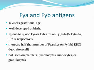 Fya and Fyb antigens
 6 weeks gestational age
 well developed at birth.
 13,000 to 14,000 Fya or Fyb sites on Fy(a+b-)& Fy(a-b+)
RBCs, respectively
 there are half that number of Fya sites on Fy(ab) RBC(
6900 sites/cell)
 not seen on platelets, lymphocytes, monocytes, or
granulocytes
 