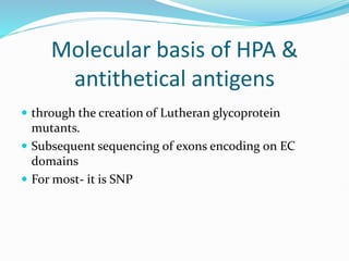 Molecular basis of HPA &
antithetical antigens
 through the creation of Lutheran glycoprotein
mutants.
 Subsequent sequencing of exons encoding on EC
domains
 For most- it is SNP
 