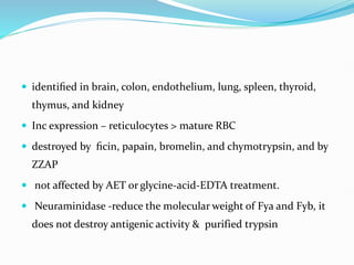  identiﬁed in brain, colon, endothelium, lung, spleen, thyroid,
thymus, and kidney
 Inc expression – reticulocytes > mature RBC
 destroyed by ﬁcin, papain, bromelin, and chymotrypsin, and by
ZZAP
 not affected by AET or glycine-acid-EDTA treatment.
 Neuraminidase -reduce the molecular weight of Fya and Fyb, it
does not destroy antigenic activity & purified trypsin
 
