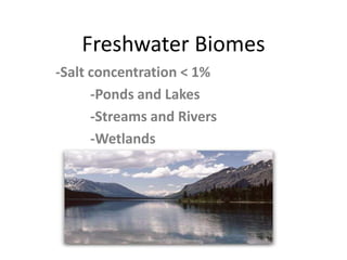Freshwater Biomes -Salt concentration &lt; 1% 	-Ponds and Lakes 	-Streams and Rivers 	-Wetlands 