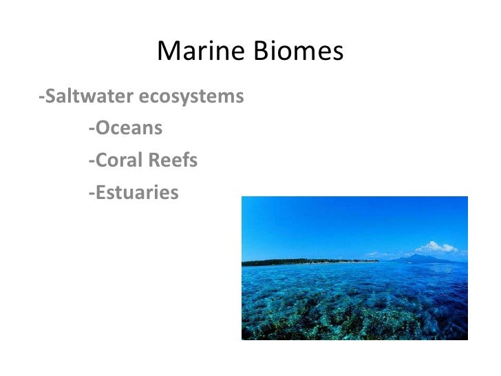 What are aquatic biomes?