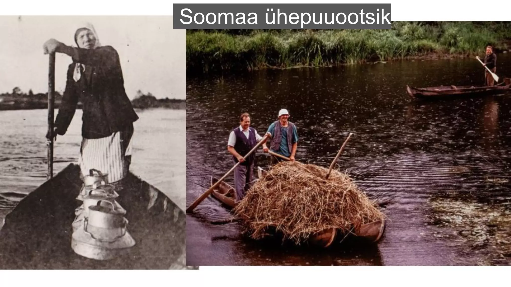 Soomaa ühepuuootsik