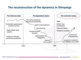 Duguma et al-landscape-restoration