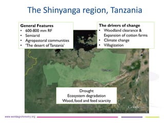 Duguma et al-landscape-restoration