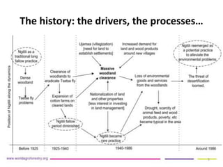 Duguma et al-landscape-restoration