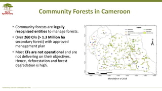 Transforming Lives and Landscapes with Trees
Community Forests in Cameroon Ecology and Society 23(3): 34
https://www.ecolo...