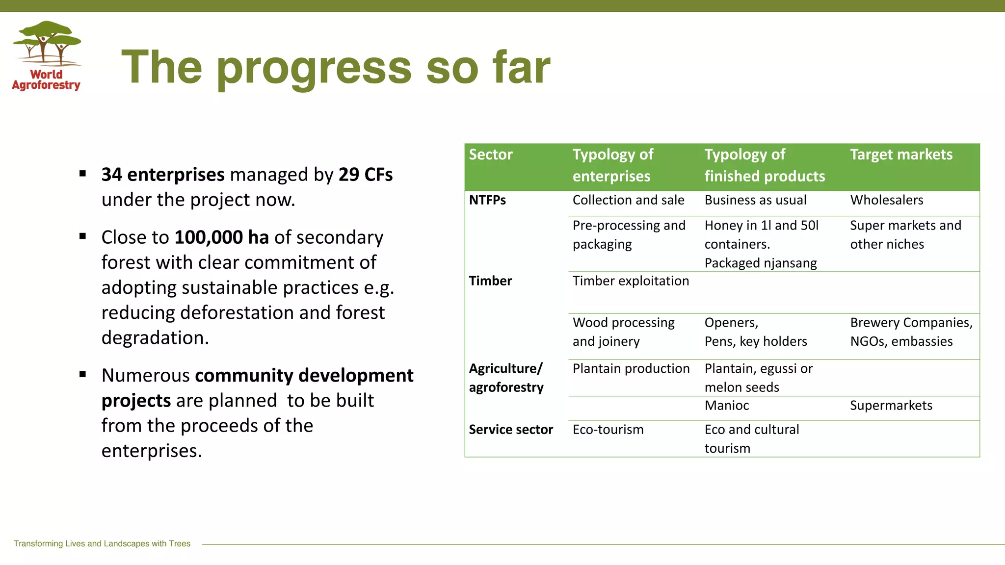 Transforming Lives and Landscapes with Trees
The progress so far
Sector Typology of
enterprises
Typology of
finished products
Target markets
NTFPs Collection and sale Business as usual Wholesalers
Pre-processing and
packaging
Honey in 1l and 50l
containers.
Packaged njansang
Super markets and
other niches
Timber Timber exploitation
Wood processing
and joinery
Openers,
Pens, key holders
Brewery Companies,
NGOs, embassies
Agriculture/
agroforestry
Plantain production Plantain, egussi or
melon seeds
Manioc Supermarkets
Service sector Eco-tourism Eco and cultural
tourism
§ 34 enterprises managed by 29 CFs
under the project now.
§ Close to 100,000 ha of secondary
forest with clear commitment of
adopting sustainable practices e.g.
reducing deforestation and forest
degradation.
§ Numerous community development
projects are planned to be built
from the proceeds of the
enterprises.
 