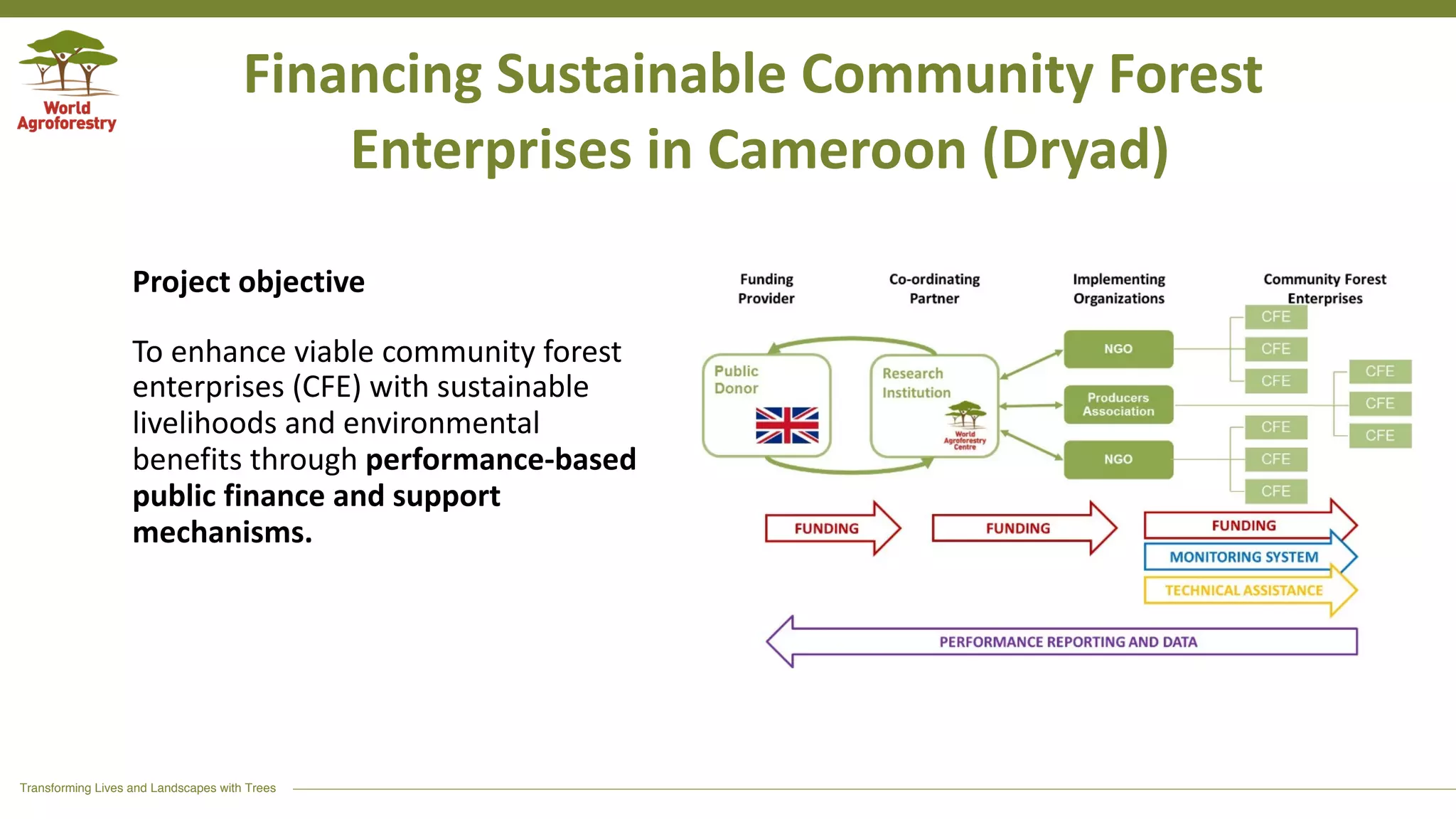 Transforming Lives and Landscapes with Trees
Financing Sustainable Community Forest
Enterprises in Cameroon (Dryad)
Project objective
To enhance viable community forest
enterprises (CFE) with sustainable
livelihoods and environmental
benefits through performance-based
public finance and support
mechanisms.
 