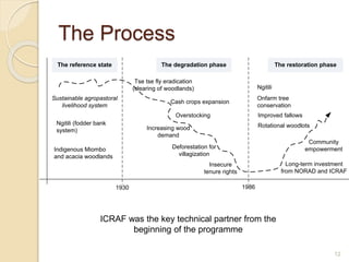 Odds and ends of rehabilitating (restoring) degraded landscapes