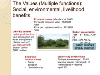 Odds and ends of rehabilitating (restoring) degraded landscapes