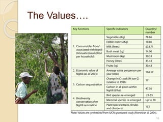 Odds and ends of rehabilitating (restoring) degraded landscapes