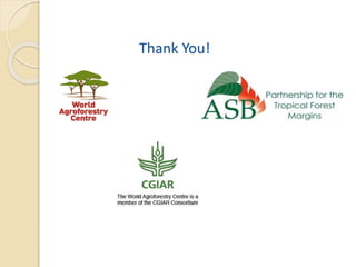 Odds and ends of rehabilitating (restoring) degraded landscapes