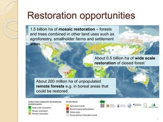 Odds and ends of rehabilitating (restoring) degraded landscapes