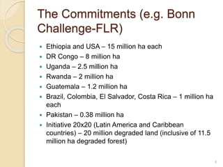 Odds and ends of rehabilitating (restoring) degraded landscapes