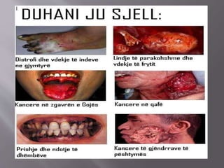 Duhani