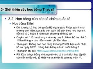 3- Giới thiệu các học bổng Thạc sĩ
 3.2. Học bổng của các tổ chức quốc tế
 Học bổng Eiffel:
• Đối tượng: Là học bổng của Bộ ngoại giao Pháp, giành cho
những sinh viên xuất sắc trên toàn thế giới theo học thạc sỹ,
tiến sỹ và 2 hoặc 3 năm cuối chương trình kỹ sư.
• Quyền lợi: 1181 eu/tháng+ vé máy bay 2 chiều+ hỗ trợ nhà ở
115eu/tháng + bảo hiểm+ miễn phí làm visa, …
• Thời gian: Thông báo học bổng khoảng 23/09, hạn cuối nhận
hồ sơ ngày 06/01, thông báo kết quả tuần cuối tháng 3
• Thông tin chi tiết: http://www.campusfrance.org/fr/eiffel
• PS: Đây là học bổng khó, ngoài việc có thành tích học tập tốt
còn cần nhiều yếu tố khác và tất nhiên là cả may mắn ^^.
 