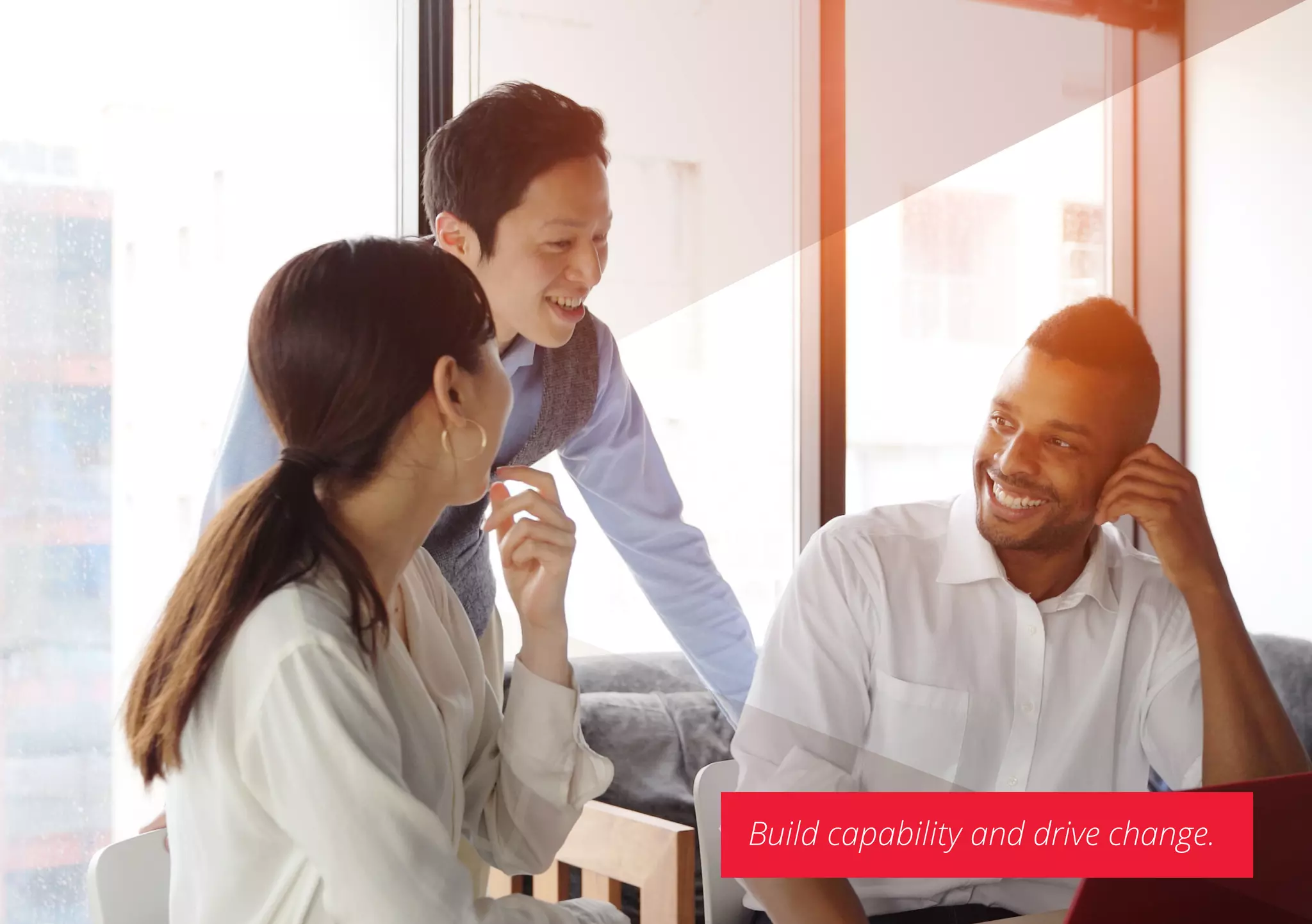 Build capability and drive change.
 