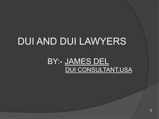   DUI AND DUI LAWYERS                BY:- JAMES DEL DUI CONSULTANT,USA      1 