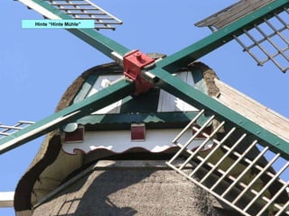 Aurich Stifts Múhle Hinte “Hinte Múhle” 