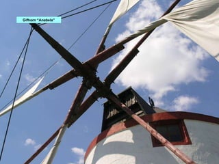 Gifhorn “Anabela” 