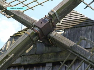 Gifhorn “Victoria” 