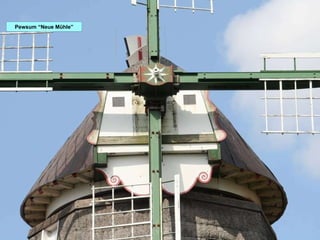 Pewsum “Neue Mühle” 