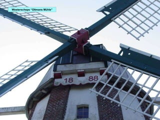 Westerscheps “Oltmans Mühle” 
