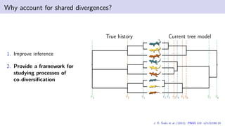Why account for shared divergences?
1. Improve inference
2. Provide a framework for
studying processes of
co-diversification
True history
τ1
τ2
τ3
Current tree model
τ1 τ2 τ3τ4 τ5 τ6 τ7 τ8
J. R. Oaks et al. (2022). PNAS 119: e2121036119
 