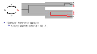v
u
G
A
A
A
G
G
G
A
▶ “Standard” hierarchical approach
▶ Calculate p(genetic data | G) × p(G | T)
 