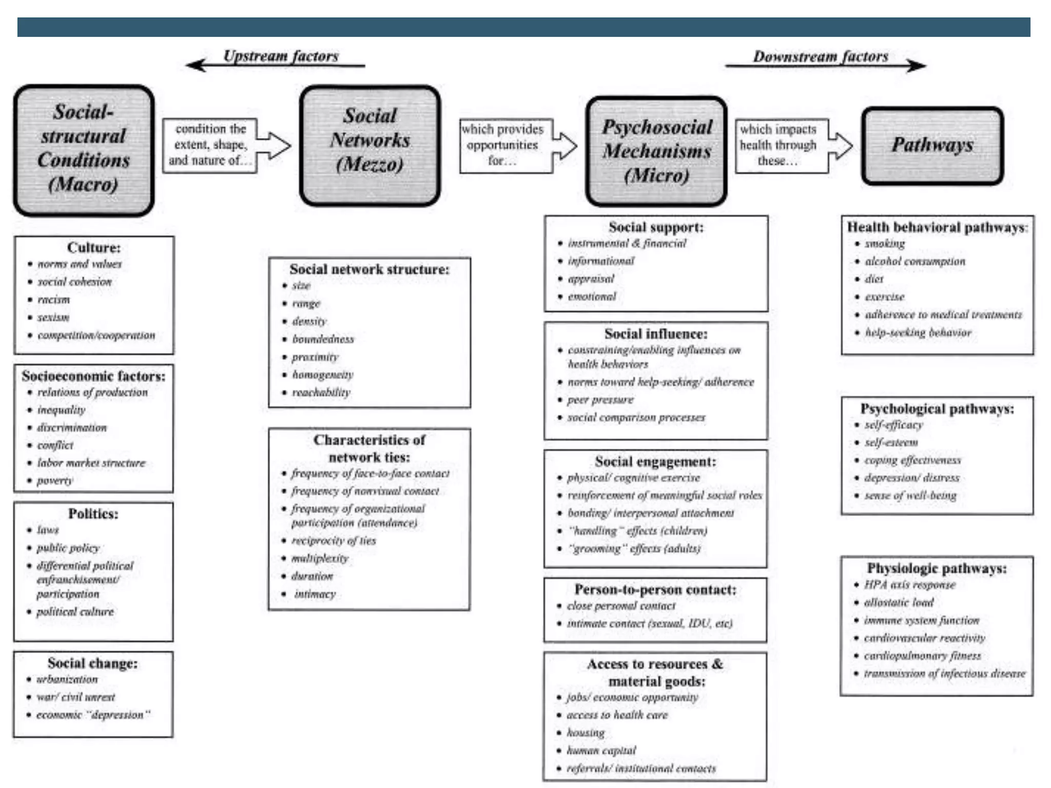NETWORKS AS INDEPENDENT VARIABLES
Social integration
 Lisa Berkman
 