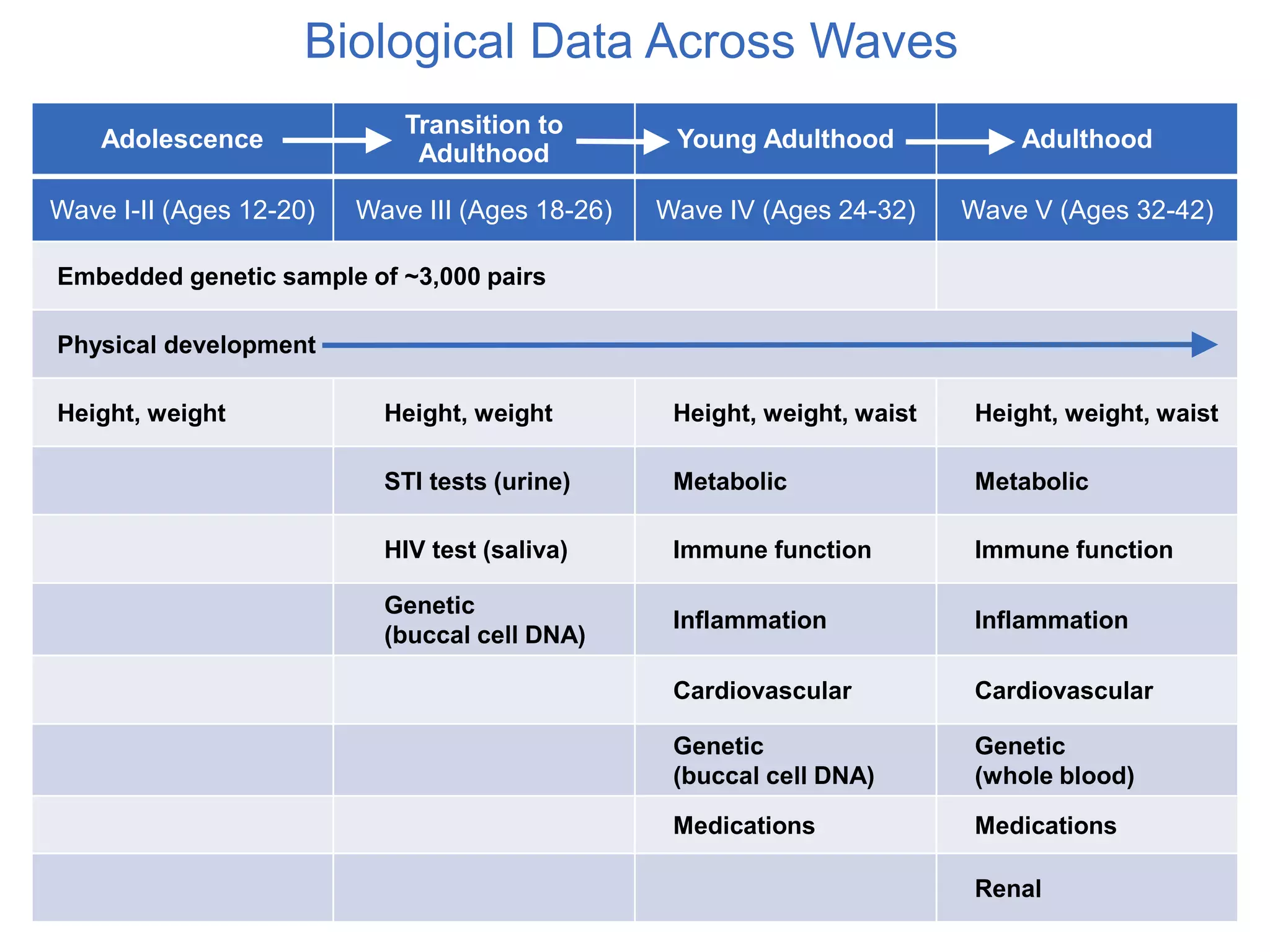 Adolescence
Transition to
Adulthood
Young Adulthood Adulthood
Wave I-II (Ages 12-20) Wave III (Ages 18-26) Wave IV (Ages 24-32) Wave V (Ages 32-42)
Embedded genetic sample of ~3,000 pairs
Physical development
Height, weight Height, weight Height, weight, waist Height, weight, waist
STI tests (urine) Metabolic Metabolic
HIV test (saliva) Immune function Immune function
Genetic
(buccal cell DNA)
Inflammation Inflammation
Cardiovascular Cardiovascular
Genetic
(buccal cell DNA)
Genetic
(whole blood)
Medications Medications
Renal
Biological Data Across Waves
 