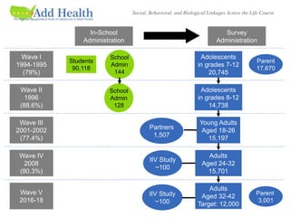 Wave II
1996
(88.6%)
Wave III
2001-2002
(77.4%)
School
Admin
144
Adolescents
in grades 7-12
20,745
Adolescents
in grades 8-12
14,738
Adults
Aged 24-32
15,701
Wave IV
2008
(80.3%)
Wave I
1994-1995
(79%)
In-School
Administration
Survey
Administration
Students
90,118
Partners
1,507
Parent
17,670
Young Adults
Aged 18-26
15,197
School
Admin
128
IIV Study
~100
Wave V
2016-18
Adults
Aged 32-42
Target: 12,000
Social, Behavioral, and Biological Linkages Across the Life Course
Parent
3,001
IIV Study
~100
 