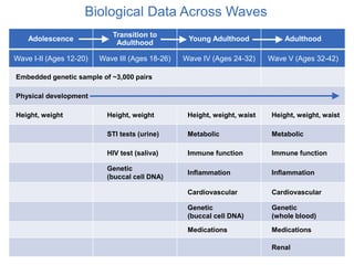 Adolescence
Transition to
Adulthood
Young Adulthood Adulthood
Wave I-II (Ages 12-20) Wave III (Ages 18-26) Wave IV (Ages 24-32) Wave V (Ages 32-42)
Embedded genetic sample of ~3,000 pairs
Physical development
Height, weight Height, weight Height, weight, waist Height, weight, waist
STI tests (urine) Metabolic Metabolic
HIV test (saliva) Immune function Immune function
Genetic
(buccal cell DNA)
Inflammation Inflammation
Cardiovascular Cardiovascular
Genetic
(buccal cell DNA)
Genetic
(whole blood)
Medications Medications
Renal
Biological Data Across Waves
 