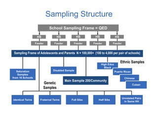 Sampling Structure
Disabled SampleSaturation
Samples
from 16 Schools
Main Sample 200/Community
Ethnic Samples
Genetic
Samples
High Educ
Black
Puerto Rican
Chinese
Identical Twins Full SibsFraternal Twins
Unrelated Pairs
in Same HH
Half Sibs
Sampling Frame of Adolescents and Parents N = 100,000+ (100 to 4,000 per pair of schools)
School Sampling Frame = QED
H
Feeder
HS HS HS HS
Feeder Feeder Feeder Feeder
Cuban
HS
 