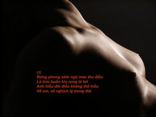 13.
Rừng phong sớm ngả màu thu điếu
Lá trúc buồn hiu rụng tả tơi
Anh hiểu đôi điều không thể hiểu
Về em, về nghịch lý trong đời
 