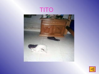 TITO 