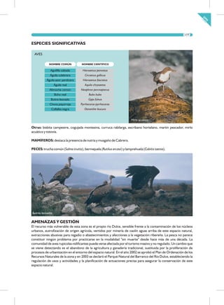 Dulce liczepa fich (1) (1)